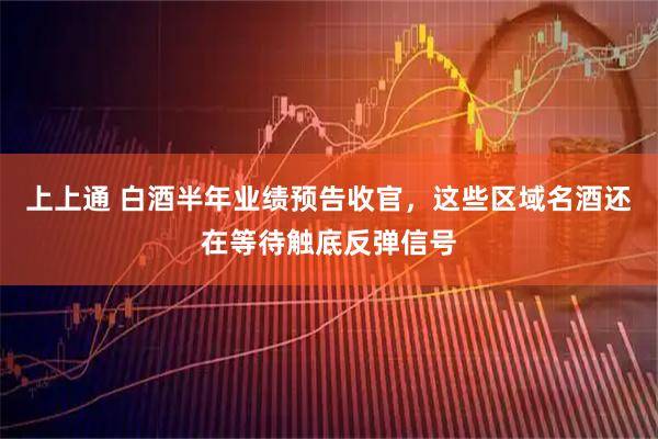 上上通 白酒半年业绩预告收官，这些区域名酒还在等待触底反弹信号