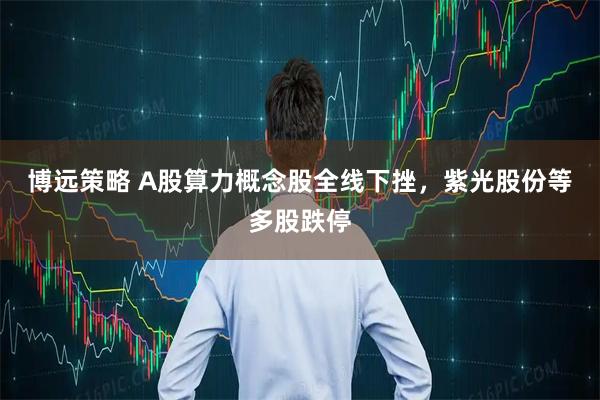 博远策略 A股算力概念股全线下挫，紫光股份等多股跌停