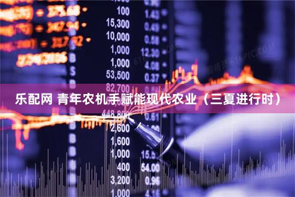 乐配网 青年农机手赋能现代农业（三夏进行时）